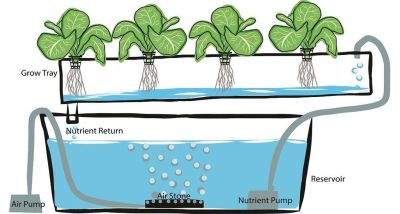 How to choose a hydroponic system