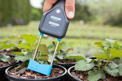 Basic parameters for healthy plants
