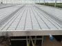 Professional Greenhouse Trays