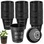 Net Pots for Hydroponic Systems