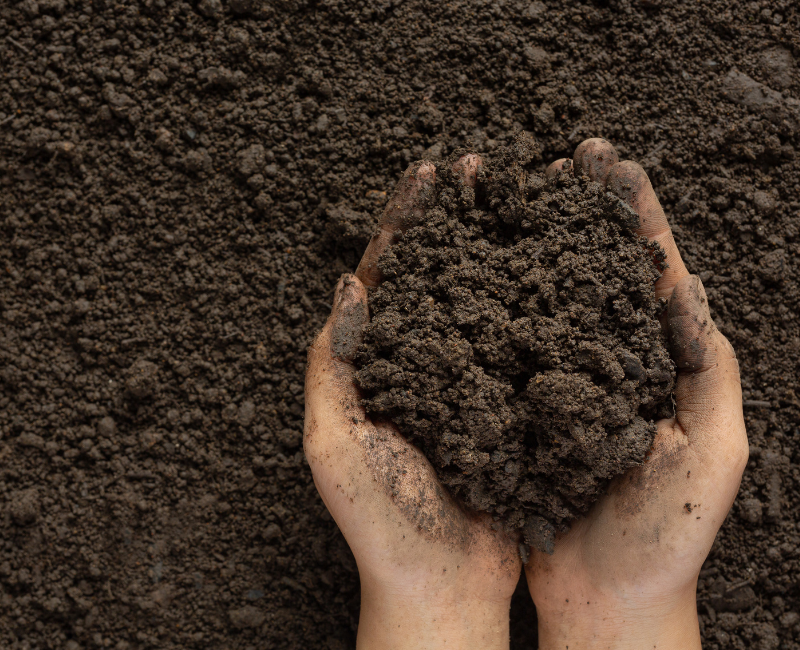 What are the different types of soil and substrates