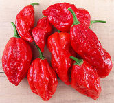 Семена от люти чушки сорт "Нага Морич" (Naga Morich) 15 бр