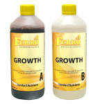 Ferro GROWTH A&B 2x1L