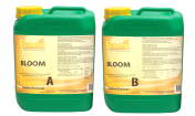 Ferro BLOOM A&B 2x5L