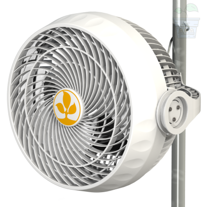 Secret Jardin Monkey Fan 30W