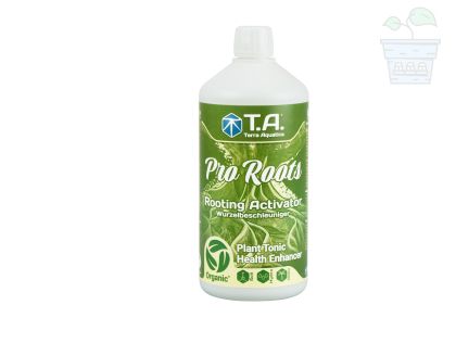 GHE - T.A. - Pro Roots 1L