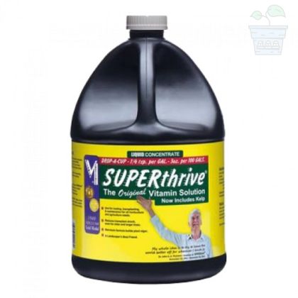 SUPERthrive 3.8L