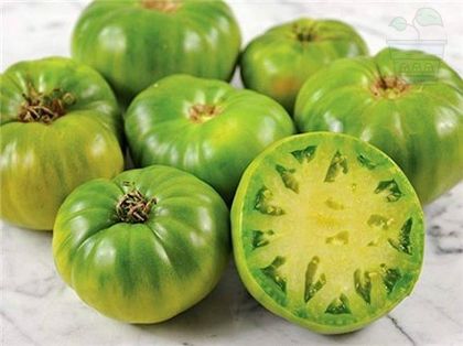 "Green Giant" Green Tomatoes 10 seeds