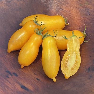 "Banana Legs" Tomatoes (Yellow Pepper) 15 seeds