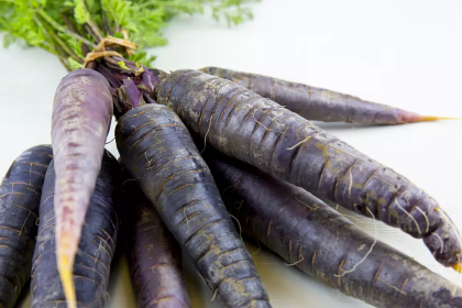"Black Nebula" / "Deep Purple" Carrots (Scorzonera hispanica F1) 500 seeds