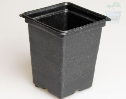 Square pot 7х7х8cm