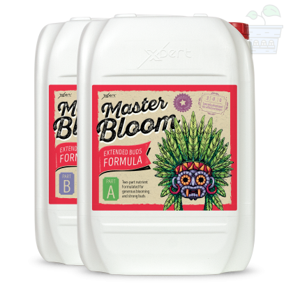 Master Bloom A + B 20L - mineral fertilizer for flowering