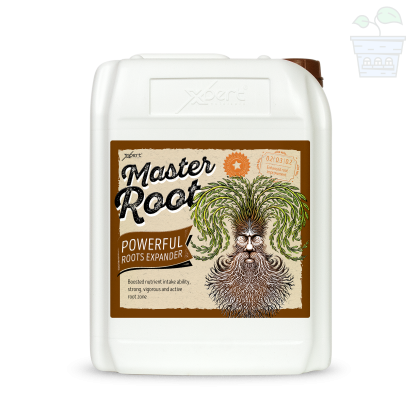 Master Root 10l - Stimulator for Root