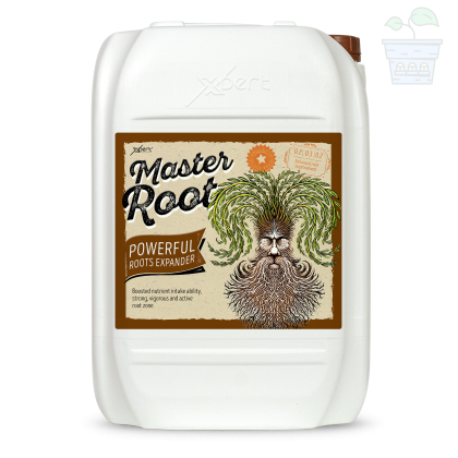 Master Root 20l - Stimulator for Root