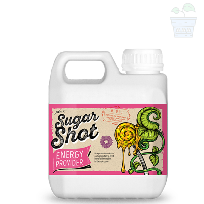 Sugar Shot 1l - carbohydrate supplement