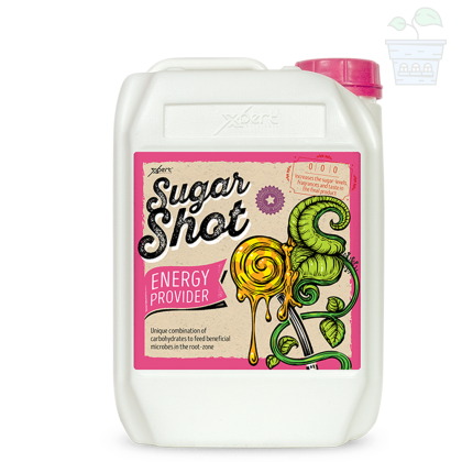 Sugar Shot 5L - carbohydrate supplement