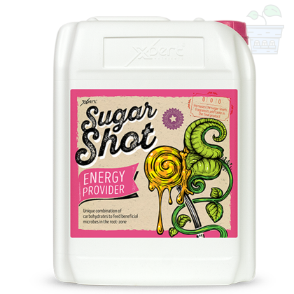 Sugar Shot 10L - carbohydrate supplement