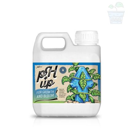 pH Up for Growth and Bloom 1L - regulator for increasing pH