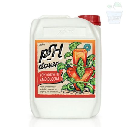 pH Down for Growth and Bloom 5L - pH down regulator