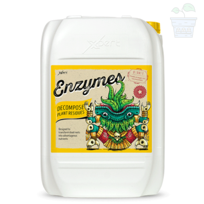 Enzymes 20L - Enzyme supplement