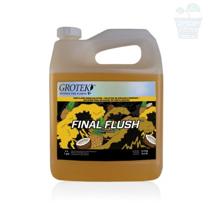 Grotek Final Flush Piña Colada INTL 4L