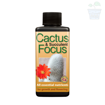 Cactus Focus - Fertilizer for Cactus 100 ml