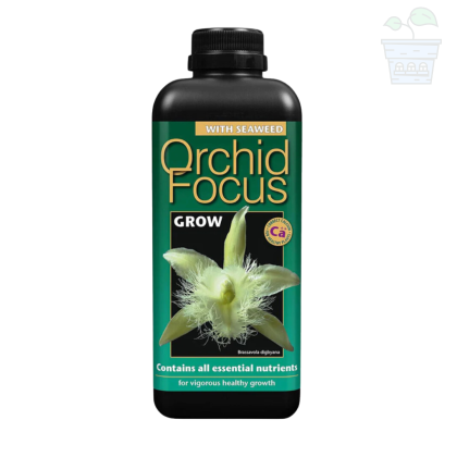 Orchid Focus - Fertilizer for the growth of Orchids 300 ml