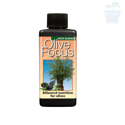 Olive Focus - Fertilizer for olive trees 300 ml