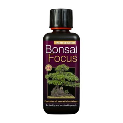 Bonsai Focus 300ml. - fertilizer for Bonzai