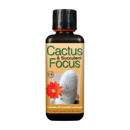 Cactus & Succulent Focus 300ml. - Fertilizer for Cacti