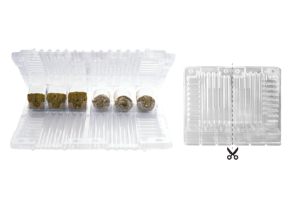 Transport packaging for seedlings 24x29x5 cm