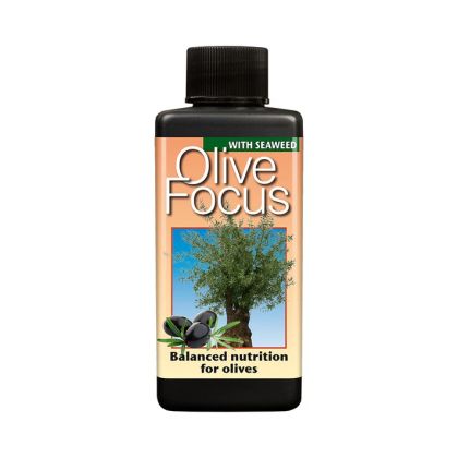 GT Olive Focus 1l