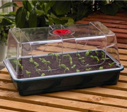 Garland Small Propagator 38 x 24см.