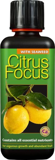 Citrus Focus 300ml. – Specialized fertilizer for citrus plants