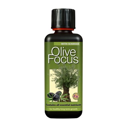 Olive Focus 300мл. - тор за маслинови дръвчета