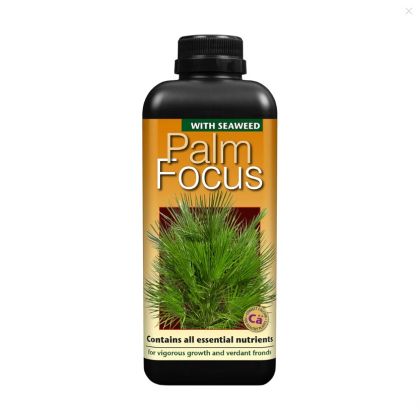 Palm Focus 1L - тор за палмови растения