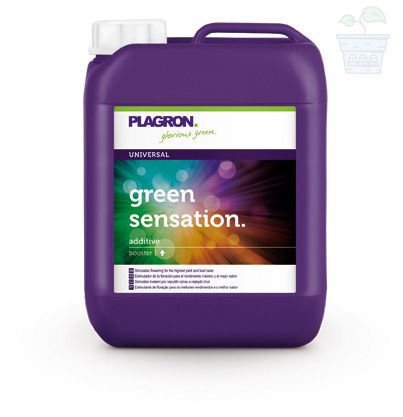 Green Sensation 5L.