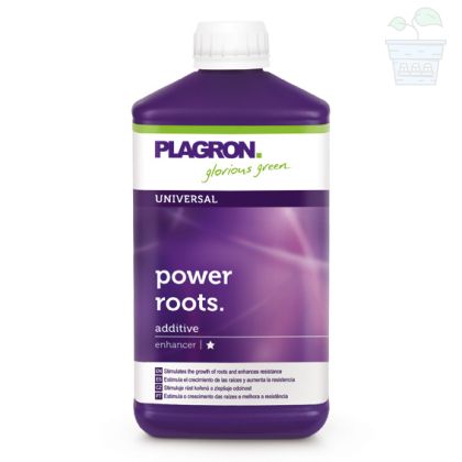 Power Roots 1L.