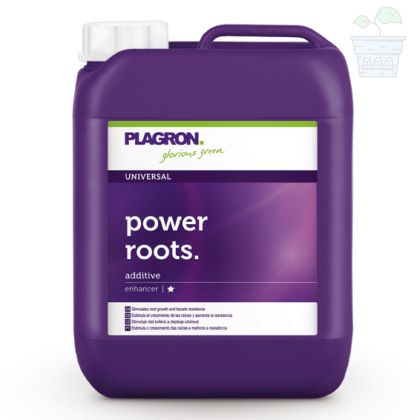 Power Roots 5L.