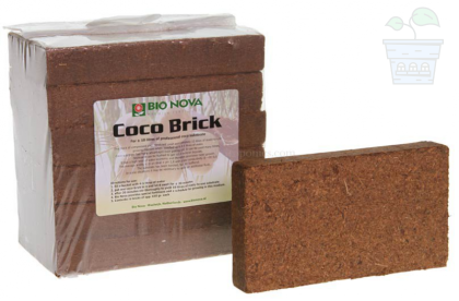 BN Coco - Brick