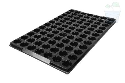 Jiffys 33mm pad 84 Cell Tray/for Jiffys-7