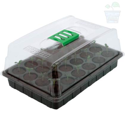 ROOTiT VALUE Rooting Sponge Propagation Kit