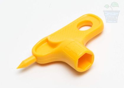 Small Yellow Perforator