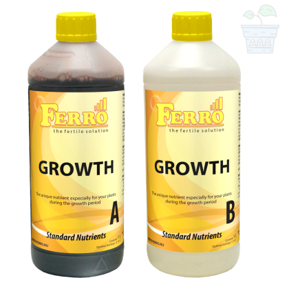 Ferro GROWTH A&B 2x1L