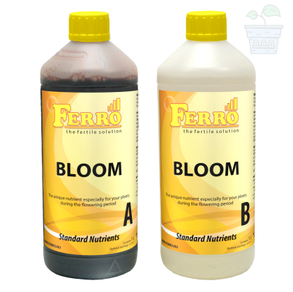 Ferro BLOOM A&B 2x1L