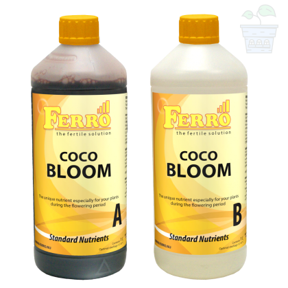 Ferro COCO BLOOM A&B 2x1L