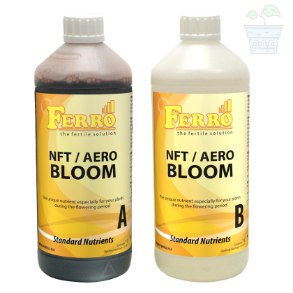 Ferro NFT / AERO BLOOM A&B 2x1L