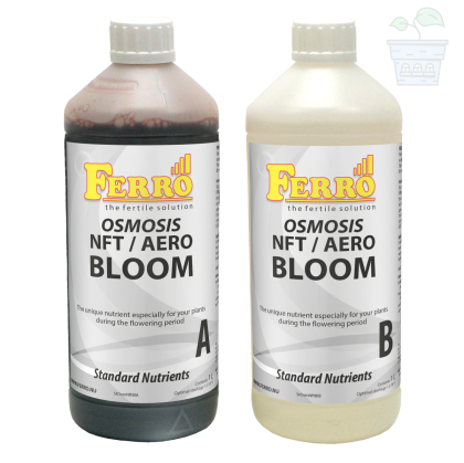 Ferro OSMOSIS NFT / AERO BLOOM A&B 2x1L