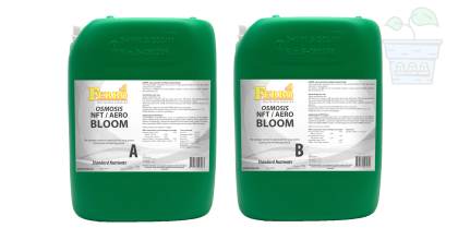 Ferro OSMOSIS NFT / AERO BLOOM A&B 2x10L