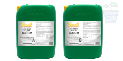 Ferro OSMOSIS COCO BLOOM A&B 2x10L